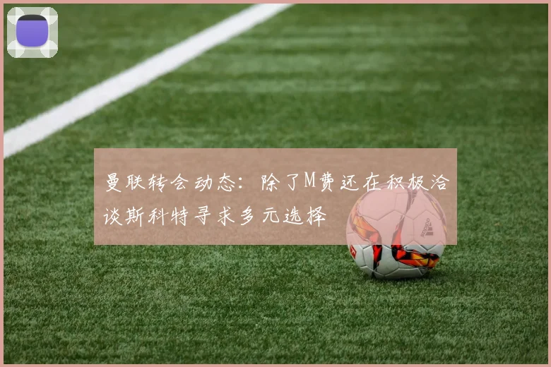 曼联转会动态：除了M费还在积极洽谈斯科特寻求多元选择