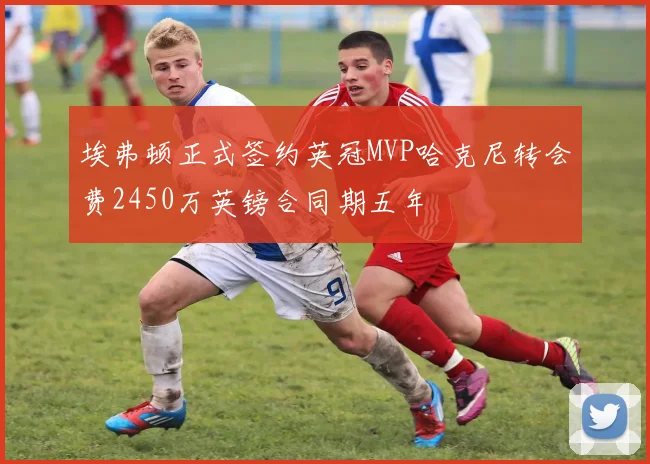 埃弗顿正式签约英冠MVP哈克尼转会费2450万英镑合同期五年